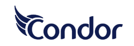 CONDOR logo