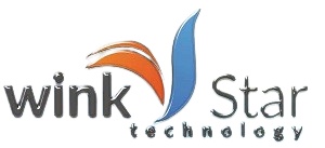Wink Star logo