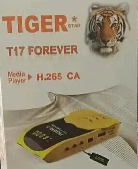TIGER T17 FOREVER